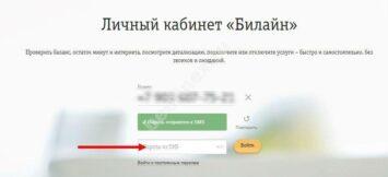 Как узнать лицевой счет Билайн на домашний интернет и другие услуги
