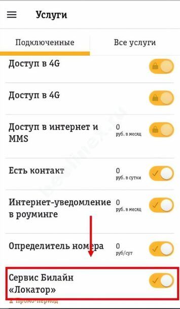 Услуга «Локатор» Билайн: как подключить или отключить на телефоне